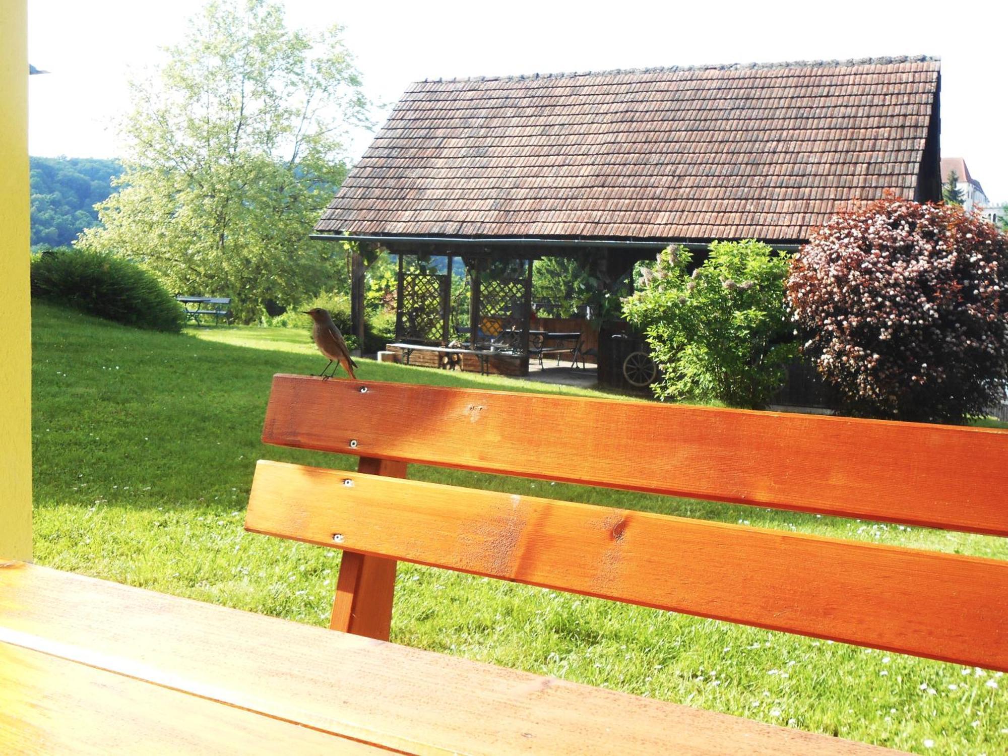 Ferienwohnungen Karin Am Seggauberg 莱布尼茨 外观 照片